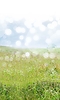Filename=ss4.jpg
Filesize=484KiB
Dimensions=2560x1650
Date added=Jun 13, 2014 ss4.jpg