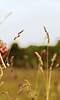 Filename=sstcaps00036.png
Filesize=990KiB
Dimensions=1280x720
Date added=Sep 28, 2013 sstcaps00036.png